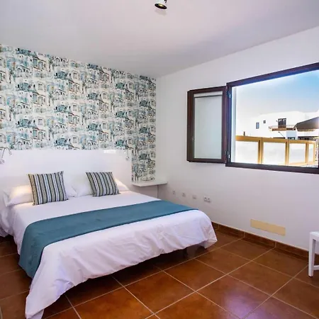 Palmera La Vegueta