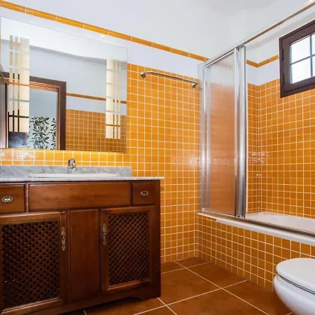 Palmera La Vegueta Tinajo